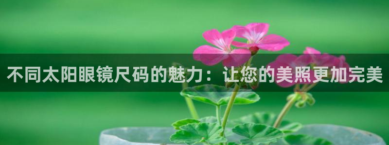 新宝5主管