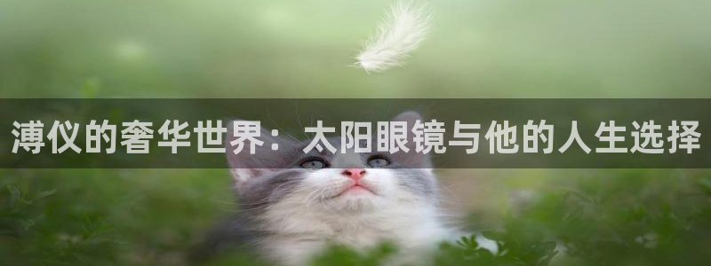 新宝5策略