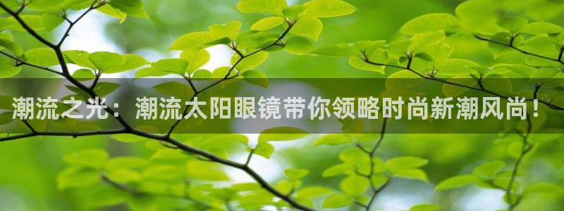 新宝5是谁