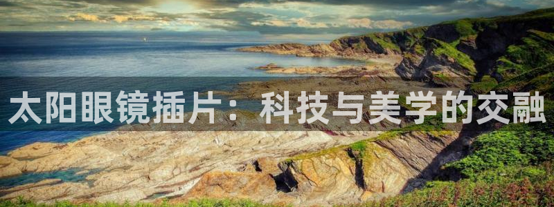 新宝5官网霸