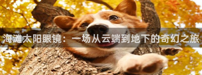 新宝6霸哥5