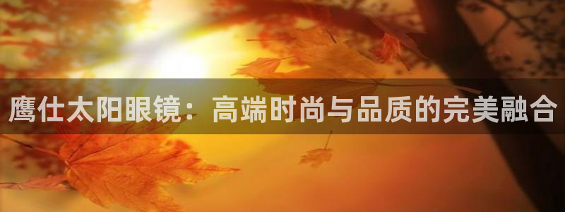 新宝5怎么下载到桌面