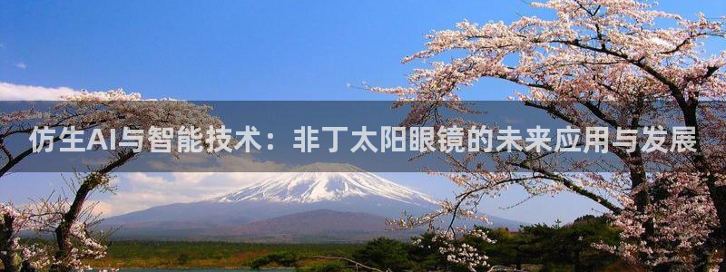 新宝5源码