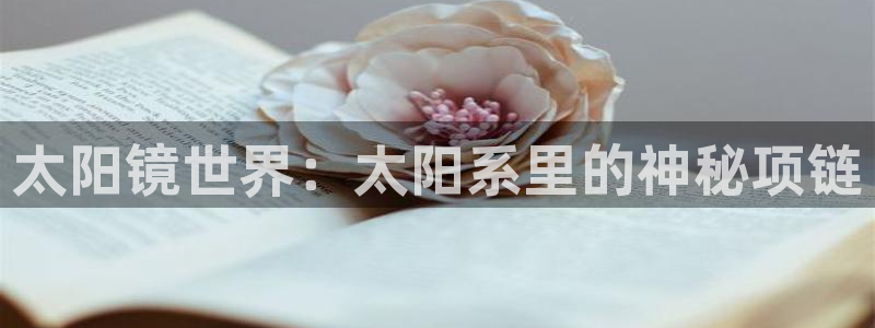 新宝5主管