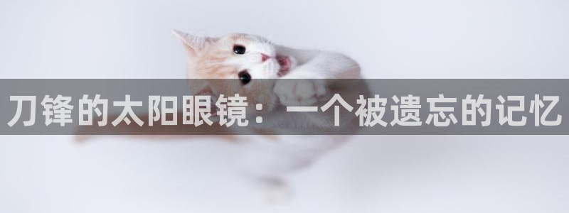 新宝5手机登陆
