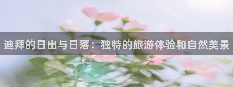 新宝5可靠吗