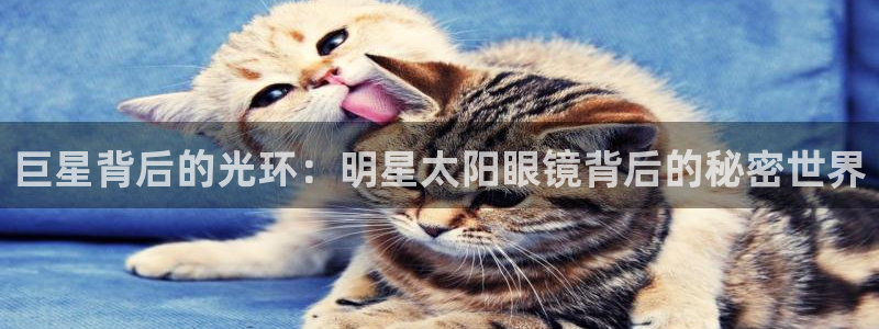 新宝5玩法