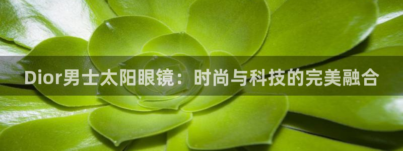 新宝5下载网址
