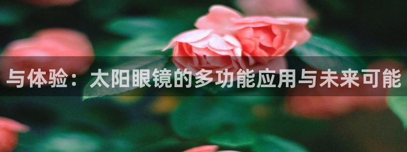 新宝5球维33 300
