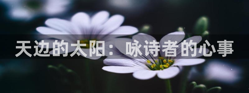 新宝5娱乐家