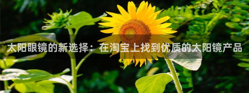 新宝5官网霸