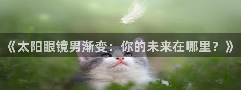 新宝5如何下载