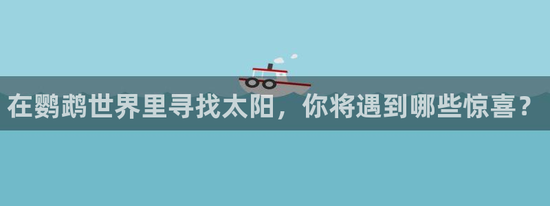 新宝rc_5w