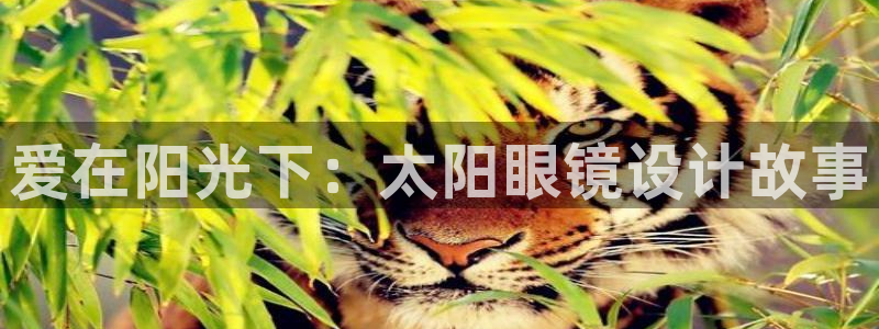新宝5测速登陆