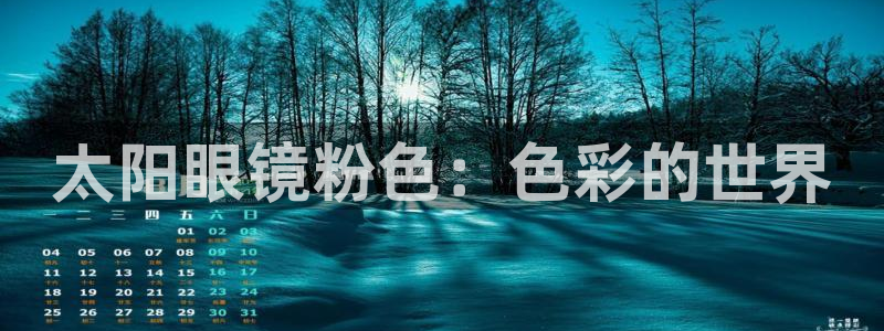 新宝5的网址