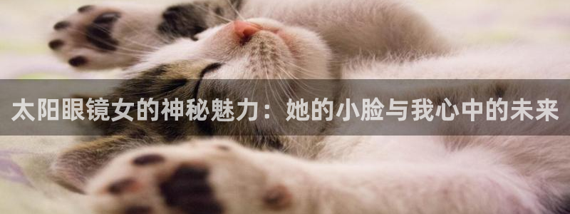 新宝5代理
