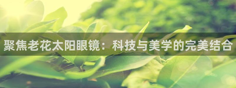 新宝5娱乐注
