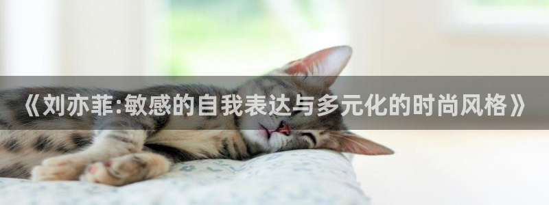 新宝5娱乐如