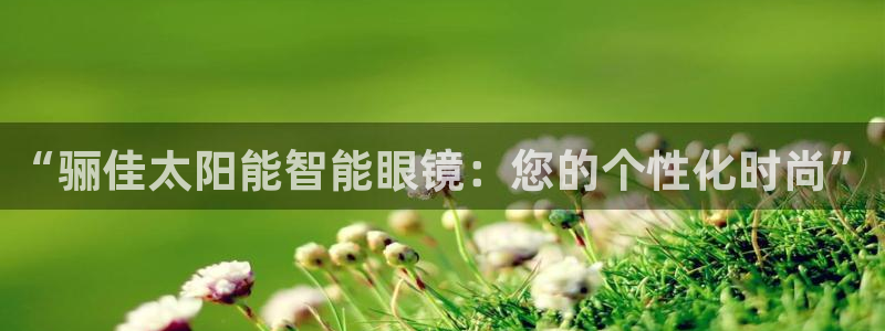 新宝5是谁的