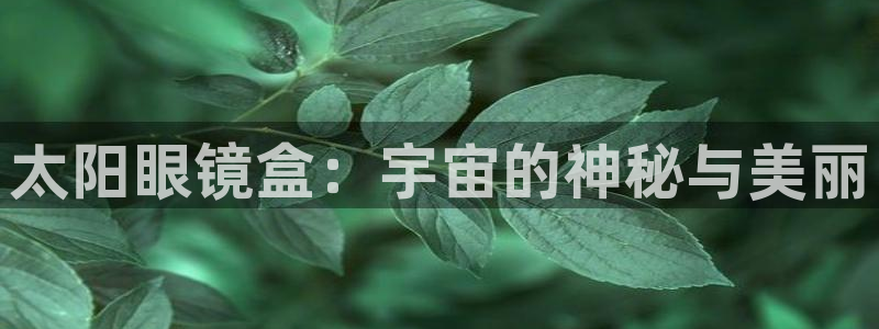 新宝5下载网址