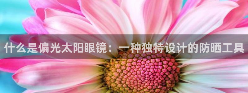 新宝5娱乐登陆