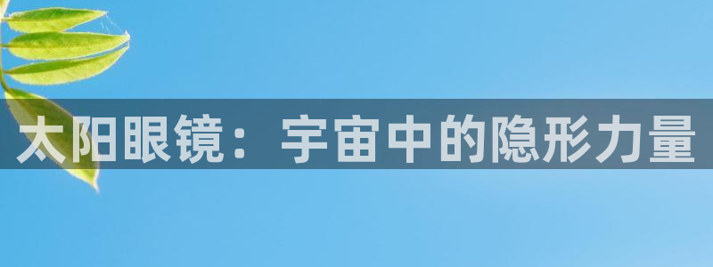 菲律宾新宝5老板