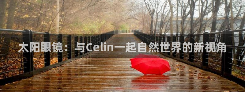 新宝5什么时候上市