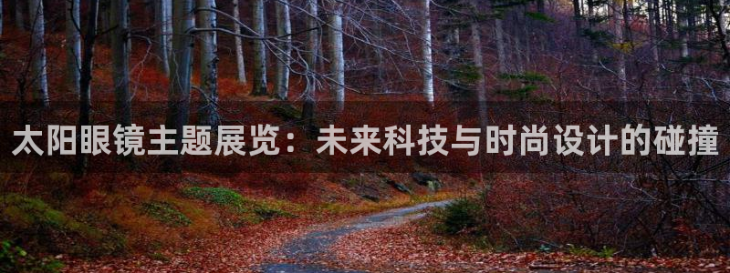 新宝5 - 测速登陆