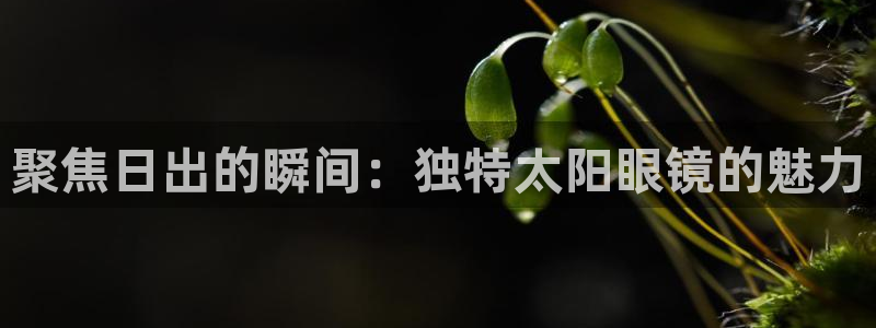 新宝5娱乐没
