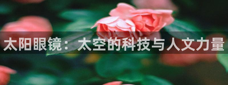 菲律宾新宝5老板