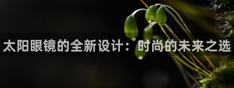 新宝5彩票娱乐平台