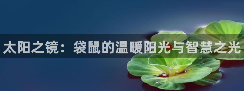 新宝5什么时候上市