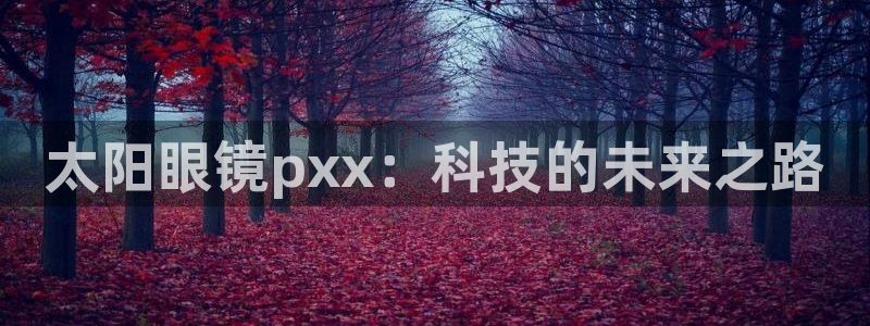 新宝5现在还能玩吗