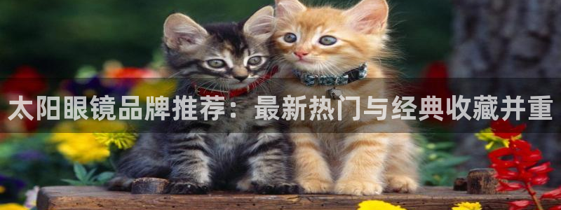 新宝5官网67五壹叁八