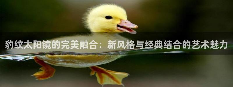 新宝5娱乐登录