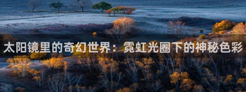 新宝5测速登陆