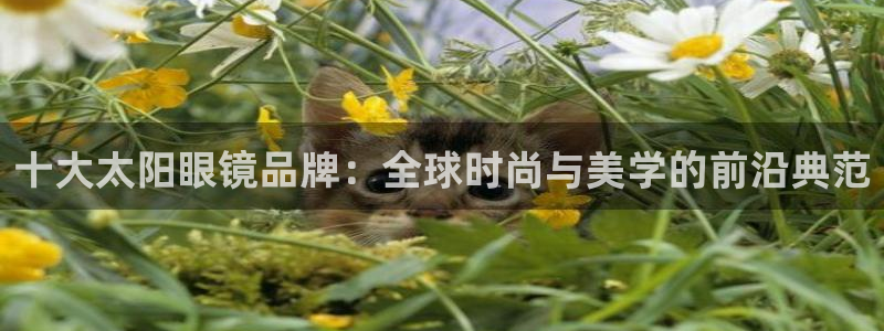 新宝股东王听2 5 5