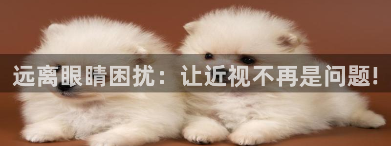 新宝5软件下载