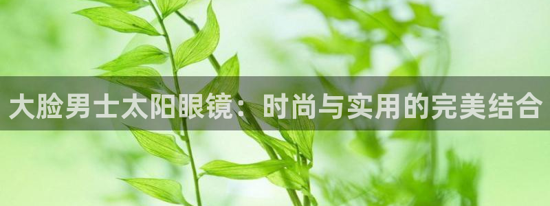 新宝5娱乐没
