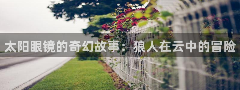 新宝5手机版登录